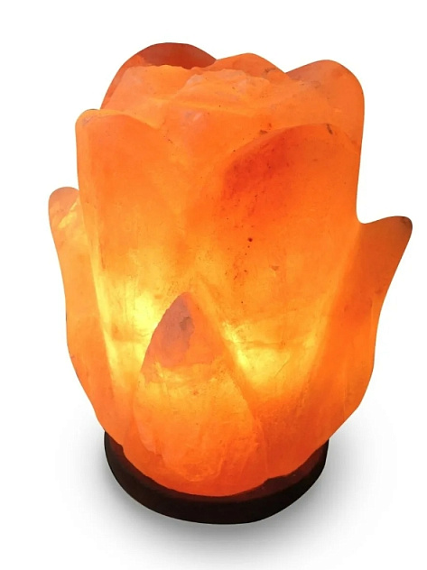 Лампа солевая Wonder Life "Цветок"