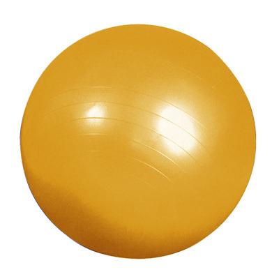 Мяч СТАНДАРТ d=450мм с насосом для реабилитации